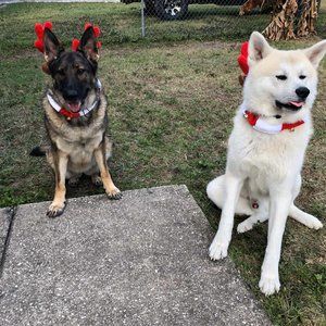 Meet your Posher, Donna